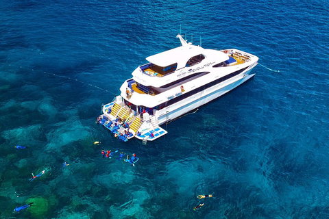 Great Barrier Reef Snorkeling And Diving Cruise From Cairns - Accommodation BNB 5