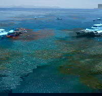 Cruise to Moore Reef Pontoon and Return Helicopter Flight from Cairns - Accommodation BNB