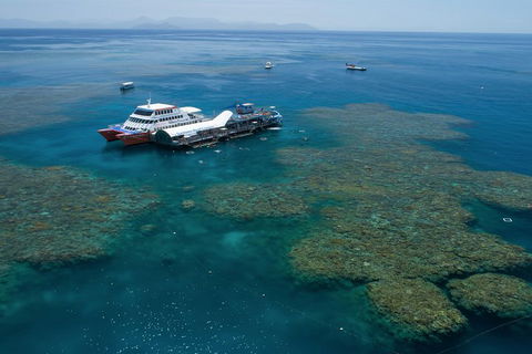 Cruise To Moore Reef Pontoon And Return Helicopter Flight From Cairns - Accommodation BNB 0