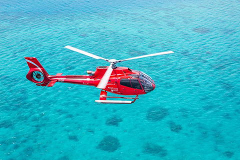 Cruise To Moore Reef Pontoon And Return Helicopter Flight From Cairns - Accommodation BNB 1