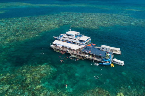 Cruise To Moore Reef Pontoon And Return Helicopter Flight From Cairns - Accommodation BNB 2