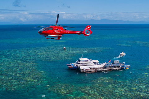 Cruise To Moore Reef Pontoon And Return Helicopter Flight From Cairns - Accommodation BNB 4