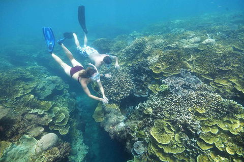 Scenic Helicopter Flight To Moore Reef And Return Snorkeling Cruise From Cairns - Accommodation BNB 1
