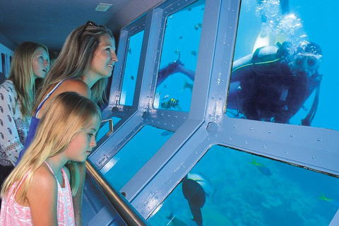 Helicopter And Cruise Packages From Port Douglas - Accommodation BNB 0