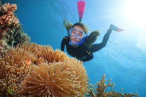 Helicopter And Cruise Packages From Port Douglas - Accommodation BNB 3