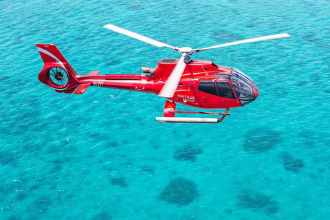 Helicopter And Cruise Packages From Port Douglas - Accommodation BNB 5