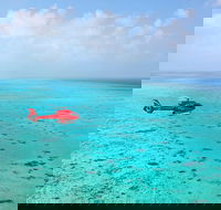 Port Douglas Scenic Flights - Accommodation BNB
