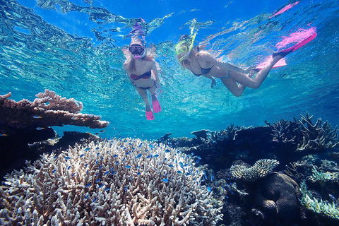 Cruise Out And Cruise Return, Plus 10 Minute Scenic Flight - Accommodation BNB 5