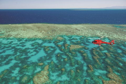 Ultimate Great Barrier Reef And Rainforest 45-minute Helicopter Tour - Accommodation BNB 1