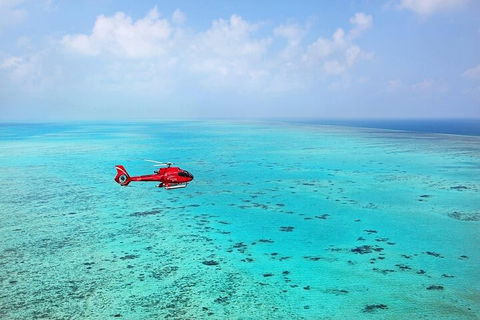 Ultimate Great Barrier Reef And Rainforest 45-minute Helicopter Tour - Accommodation BNB 2