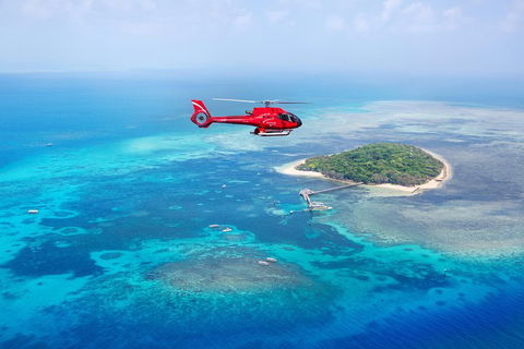 Ultimate Great Barrier Reef And Rainforest 45-minute Helicopter Tour - Accommodation BNB 4