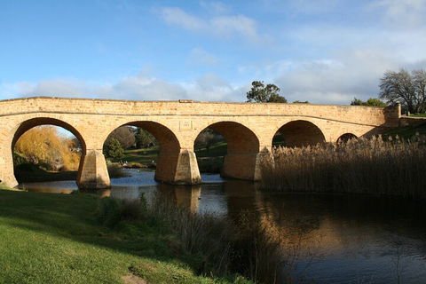 Mt. Wellington, Bonorong And Richmond Day Tour From Hobart - Accommodation BNB 4