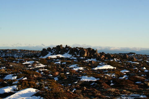Mt. Wellington, Bonorong And Richmond Day Tour From Hobart - Accommodation BNB 5