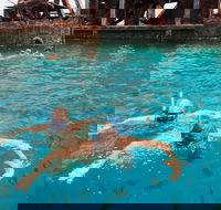 Moreton Island Snorkel and Sandboarding 4WD Day Trip from Brisbane - Accommodation BNB