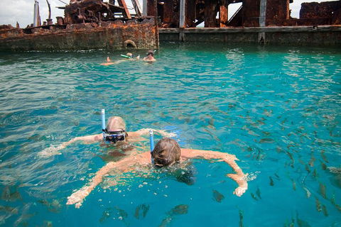 Moreton Island Snorkel And Sandboarding 4WD Day Trip From Brisbane - Accommodation BNB 0