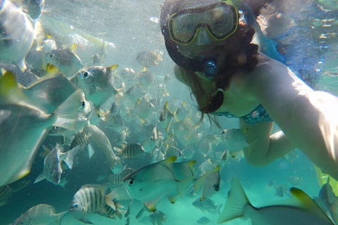 Moreton Island Snorkel And Sandboarding 4WD Day Trip From Brisbane - Accommodation BNB 3