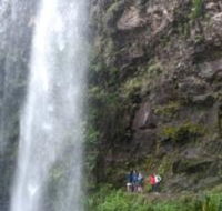 Springbrook National Park Discovery Full-Day Bushwalking Tour - Accommodation BNB