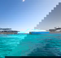 Fremantle to Rottnest Island Roundtrip Ferry Ticket - Accommodation BNB