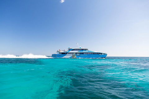 Rottnest Island All-Inclusive Grand Island Tour From Fremantle - Accommodation BNB 0