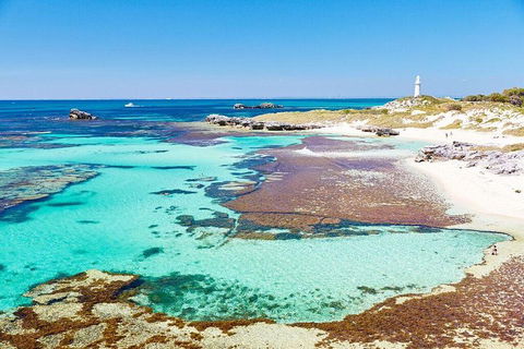 Rottnest Island All-Inclusive Grand Island Tour From Fremantle - Accommodation BNB 1