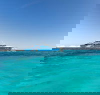 Rottnest Island Bayseeker Day Trip from Perth - Accommodation BNB