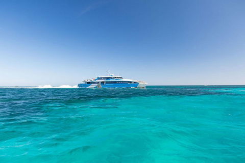 Rottnest Island Bayseeker Day Trip From Perth - Accommodation BNB 0