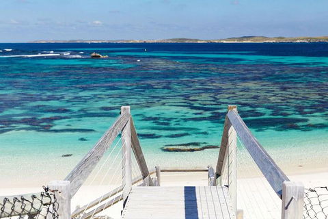 Rottnest Island Bayseeker Day Trip From Perth - Accommodation BNB 3