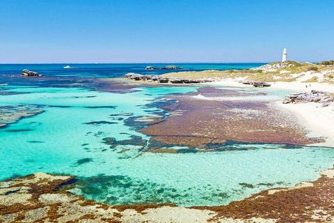 Rottnest Island Bayseeker Day Trip From Perth - Accommodation BNB 4