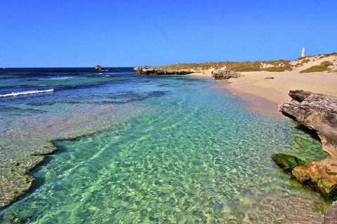 Rottnest Island Bayseeker Day Trip From Perth - Accommodation BNB 5