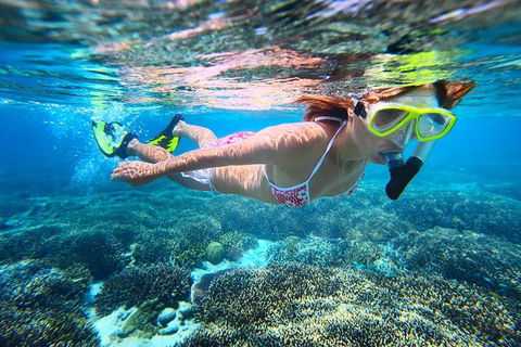 Abrolhos Islands Scenic Flight & Snorkel Adventure From Perth - Accommodation BNB 1