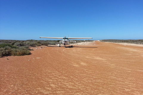 Abrolhos Islands Scenic Flight & Snorkel Adventure From Perth - Accommodation BNB 3