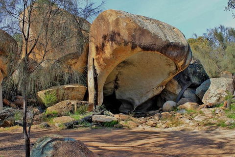 Wave Rock Half Day Air & Ground Tour - Accommodation BNB 1