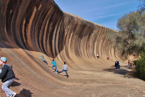 Wave Rock Half Day Air & Ground Tour - Accommodation BNB 2