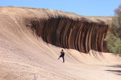Wave Rock Half Day Air & Ground Tour - Accommodation BNB 3