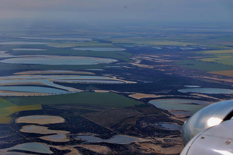 Wave Rock Half Day Air & Ground Tour - Accommodation BNB 4