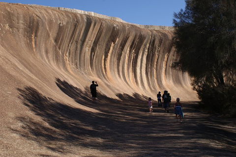 Wave Rock, Pinnacles And Rottnest One Day Aeroplane Tour - Accommodation BNB 4