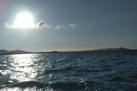 Townsville Small Group Early Morning Sailing Cruise Boat Tour Charter Hire - Accommodation BNB 4
