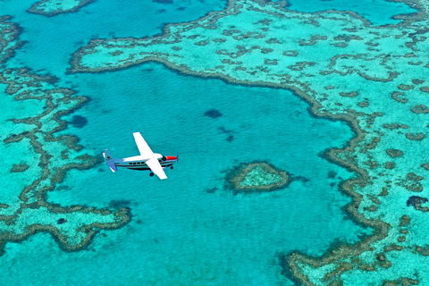 Reef And Island Scenic Flight From Airlie Beach - Accommodation BNB 4