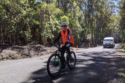 Mount Wellington Descent Cycling Tour Departs Hobart - Accommodation BNB 3