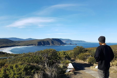 Small-Group Day Trip From Hobart To Bruny Island - Accommodation BNB 0