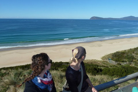 Small-Group Day Trip From Hobart To Bruny Island - Accommodation BNB 3