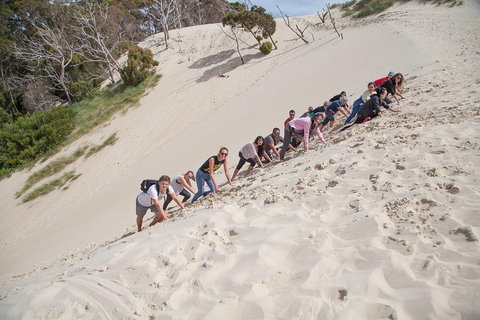3 Day Tasmanian Wild West Coast Tour From Hobart To Launceston - Accommodation BNB 2