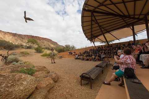 Alice Springs Desert Park General Entry Ticket - Accommodation BNB 1