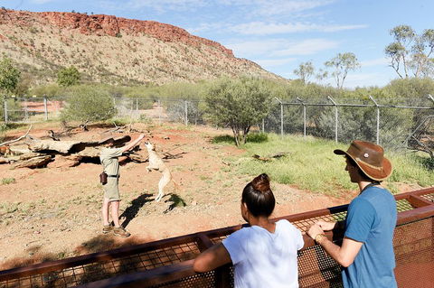 Alice Springs Desert Park General Entry Ticket - Accommodation BNB 4
