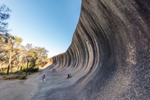 Full-Day Wave Rock & Historic York - Accommodation BNB 0