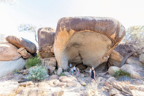 Full-Day Wave Rock & Historic York - Accommodation BNB 5