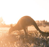 Small Group Mornington Peninsula Hike and Hot Springs Day Tour from Melbourne