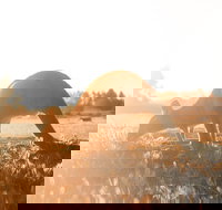 Small Group - 12 Apostles Otways  Great Ocean Road Day Tour from Melbourne - Accommodation BNB