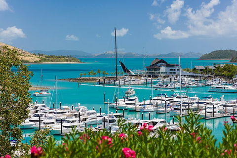 Whitehaven Beach And Hamilton Island Cruise - Accommodation BNB 3