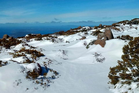 Mount Wellington Ultimate Experience Tour From Hobart - Accommodation BNB 1